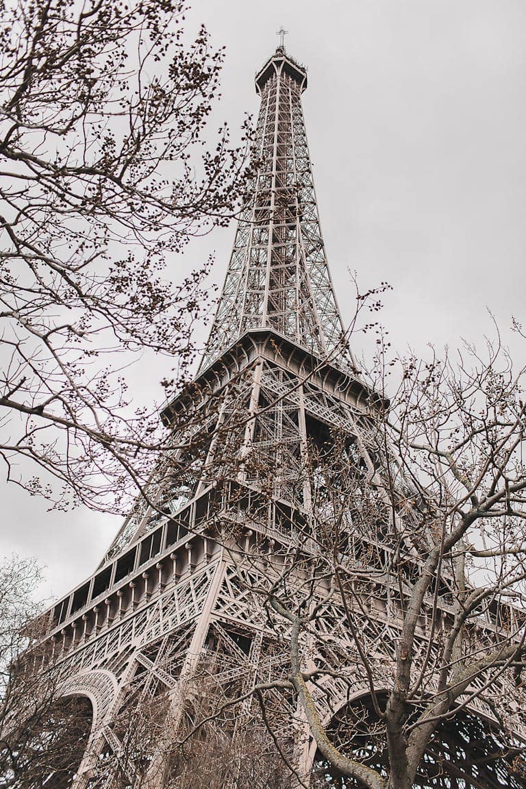 Trees Near Eiffel Tower Under the Sky