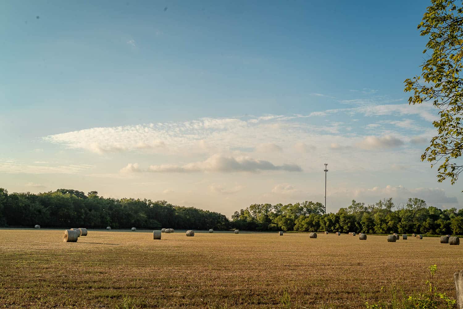 Aledo-5