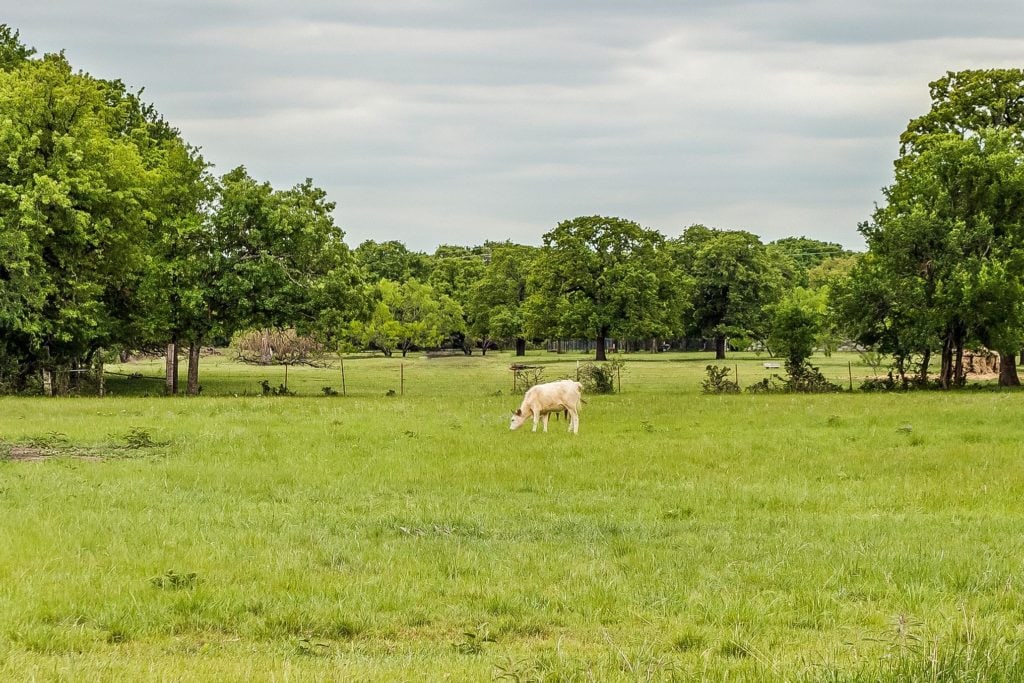 Aledo, Tx Aledo, Tx