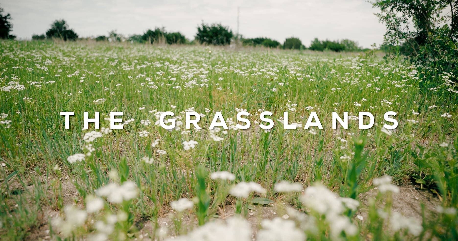 The Grasslands Aledo Texas