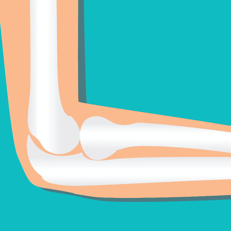 An image that shows Elbow
