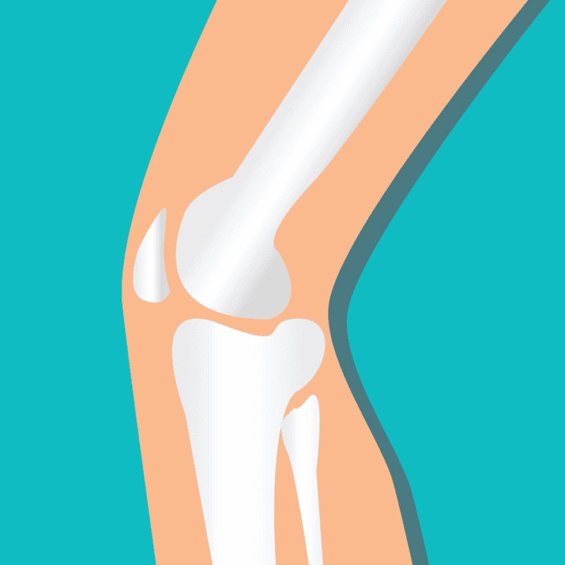 An image that shows Knee