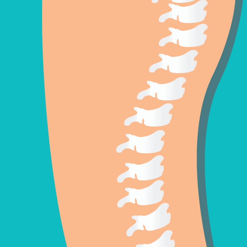 An image that shows Lower Spine