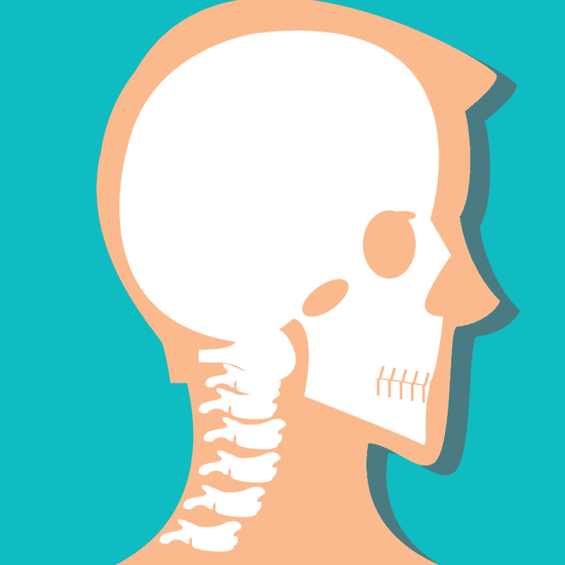 An image that shows Upper Spine Neck
