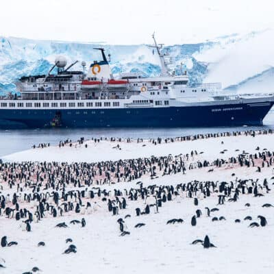 Penguinboat