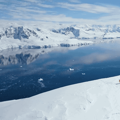Antartica21