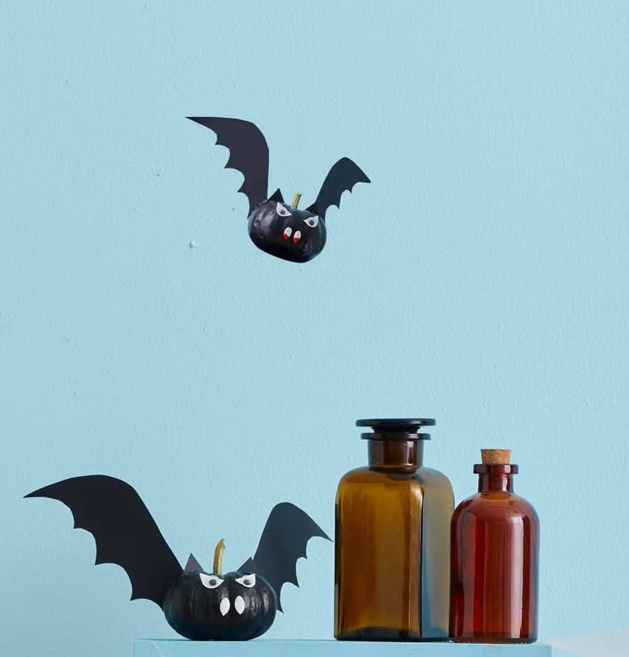 Fang-tastic Bats