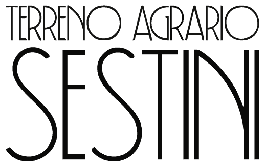 Terreno Agrario Sestini 