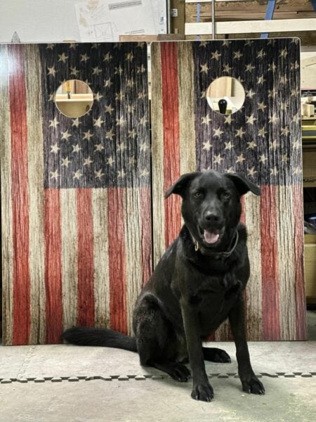 Dog-and-flag
