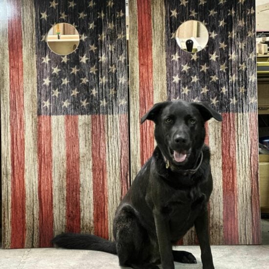 Dog-and-flag