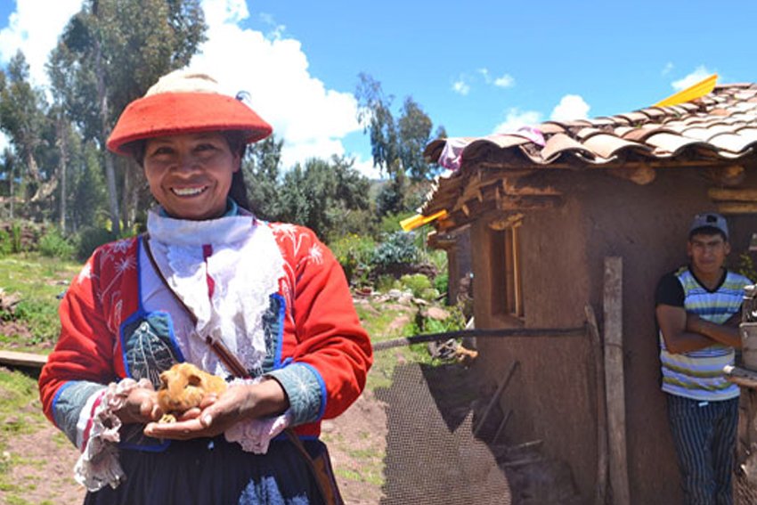 (Guinea) Pigging Out In Peru And Ecuador