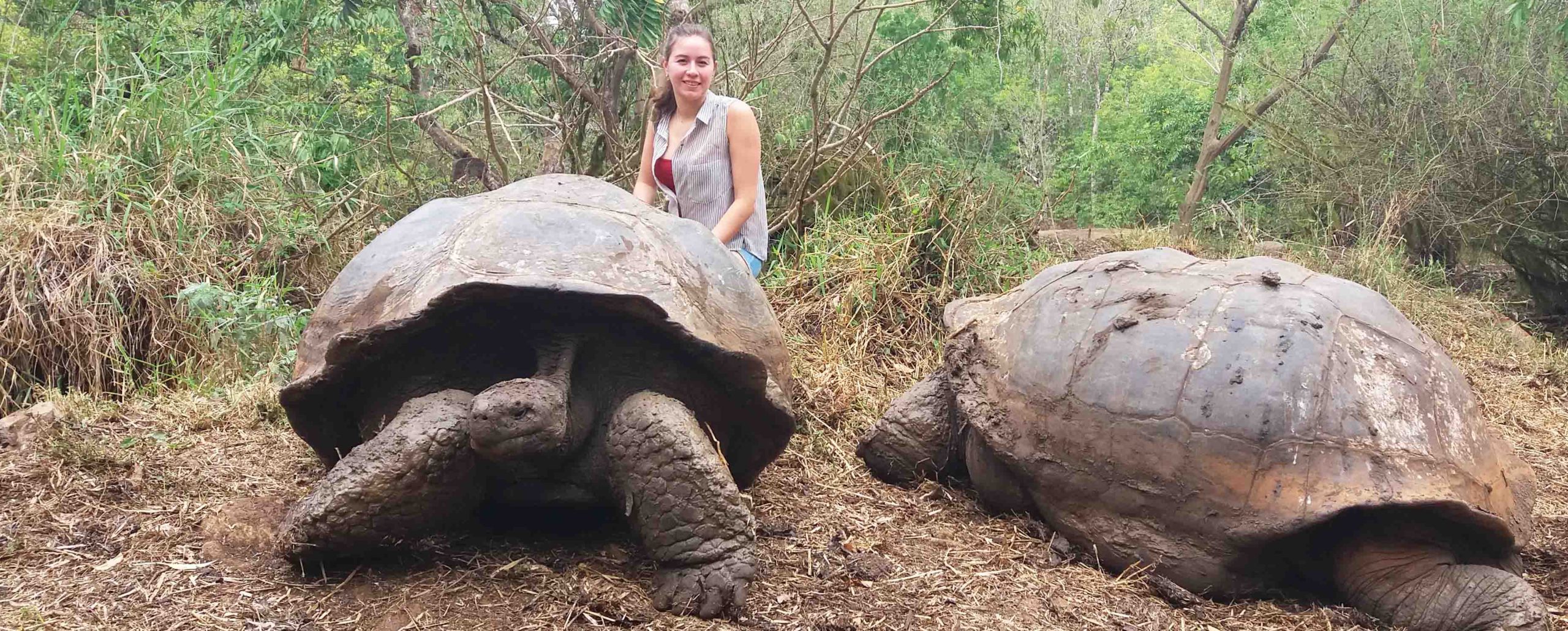 Galapagos Land Based Tours