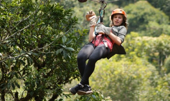 Canopy at Mindo cloud forest
