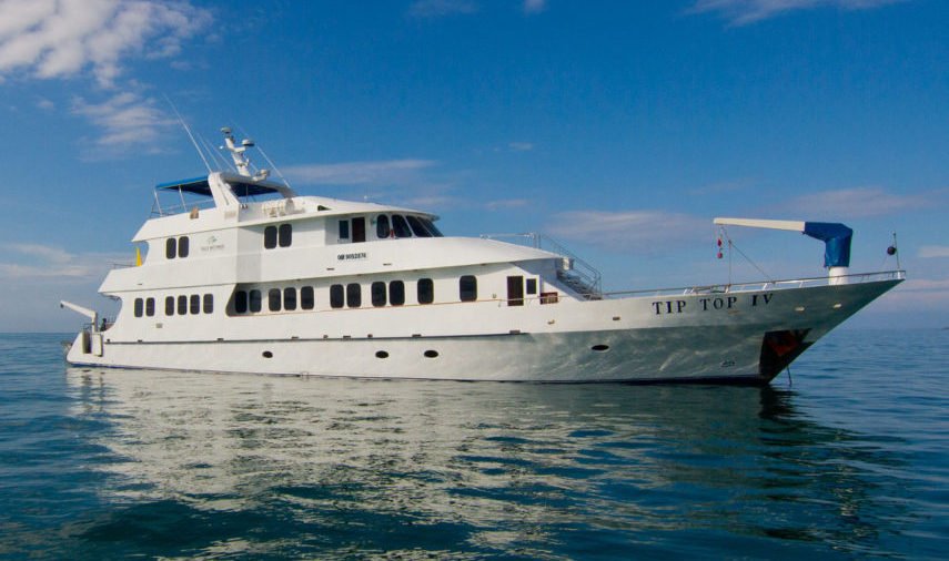Tip top IV exterior