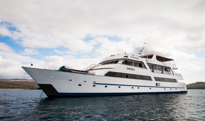 Galapagos Sea Star Journey
