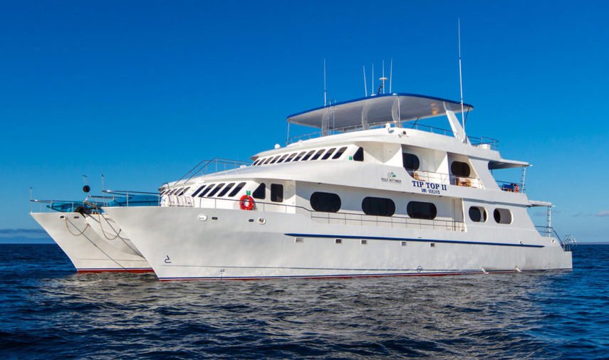 Galapagos Tip Top II