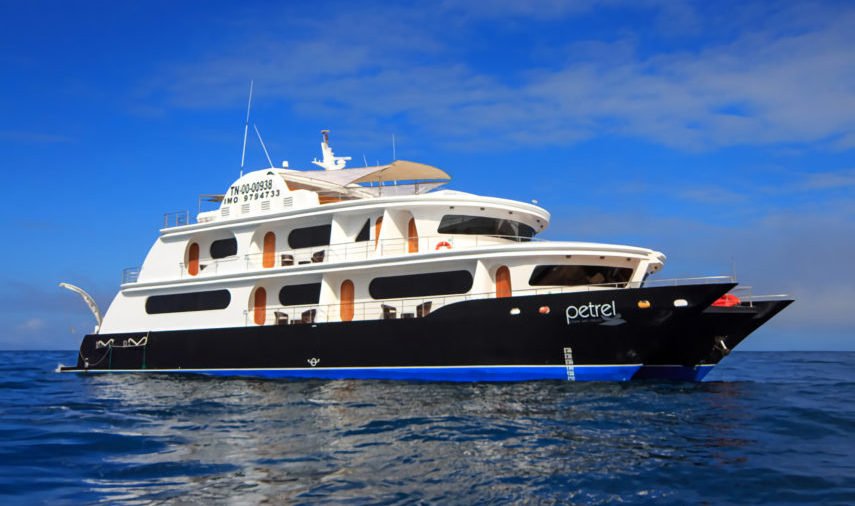 Petrel Catamaran exterior