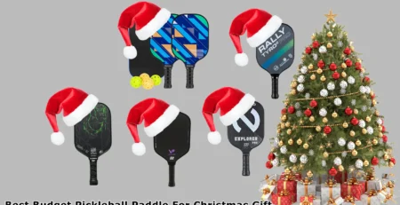 Best Budget Pickleball Paddle For Christmas Gift