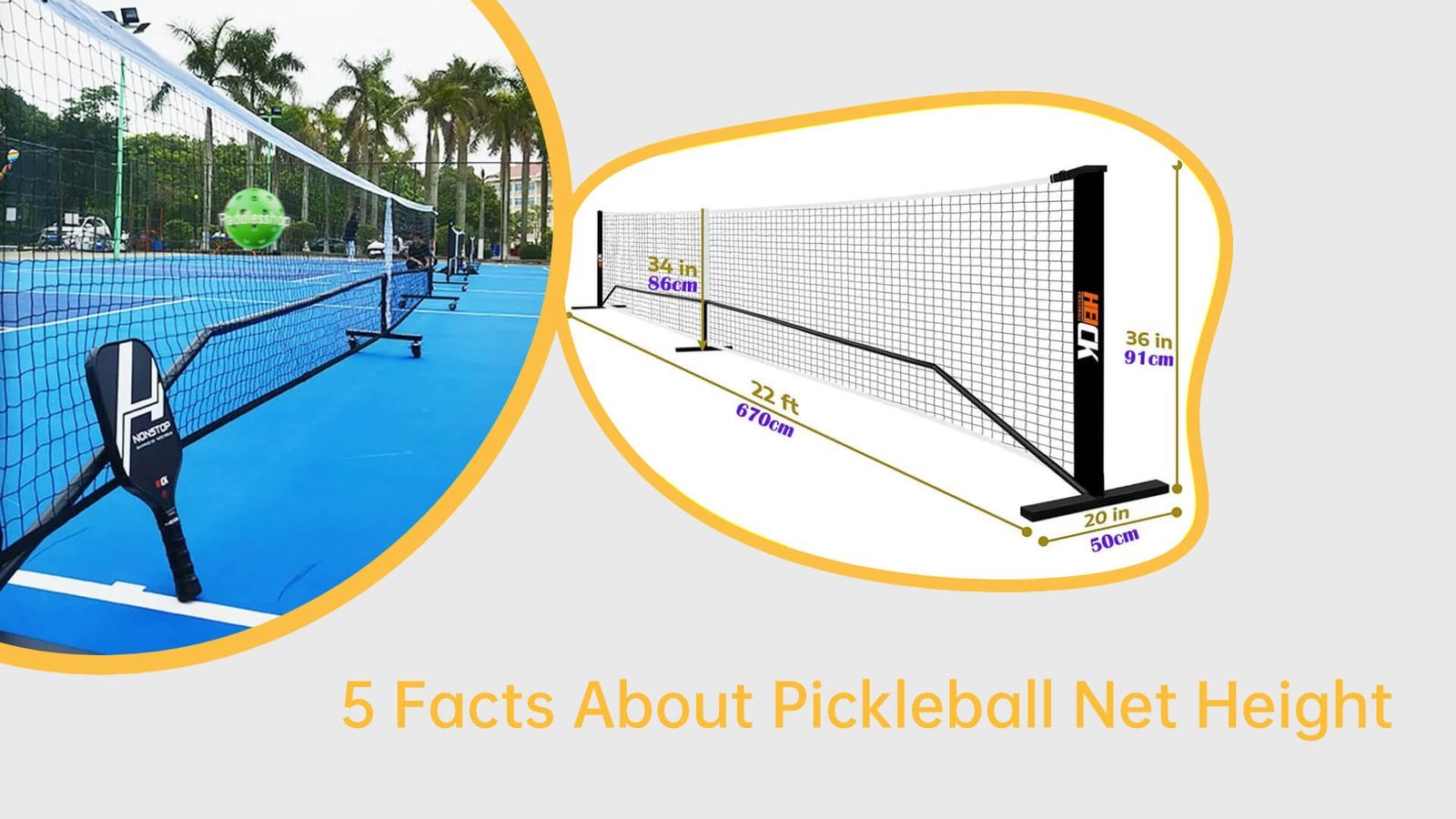 5 Facts About pickleball net height