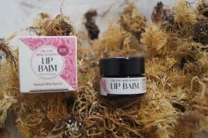 Organic Seaweed Lip Balm - Image 3