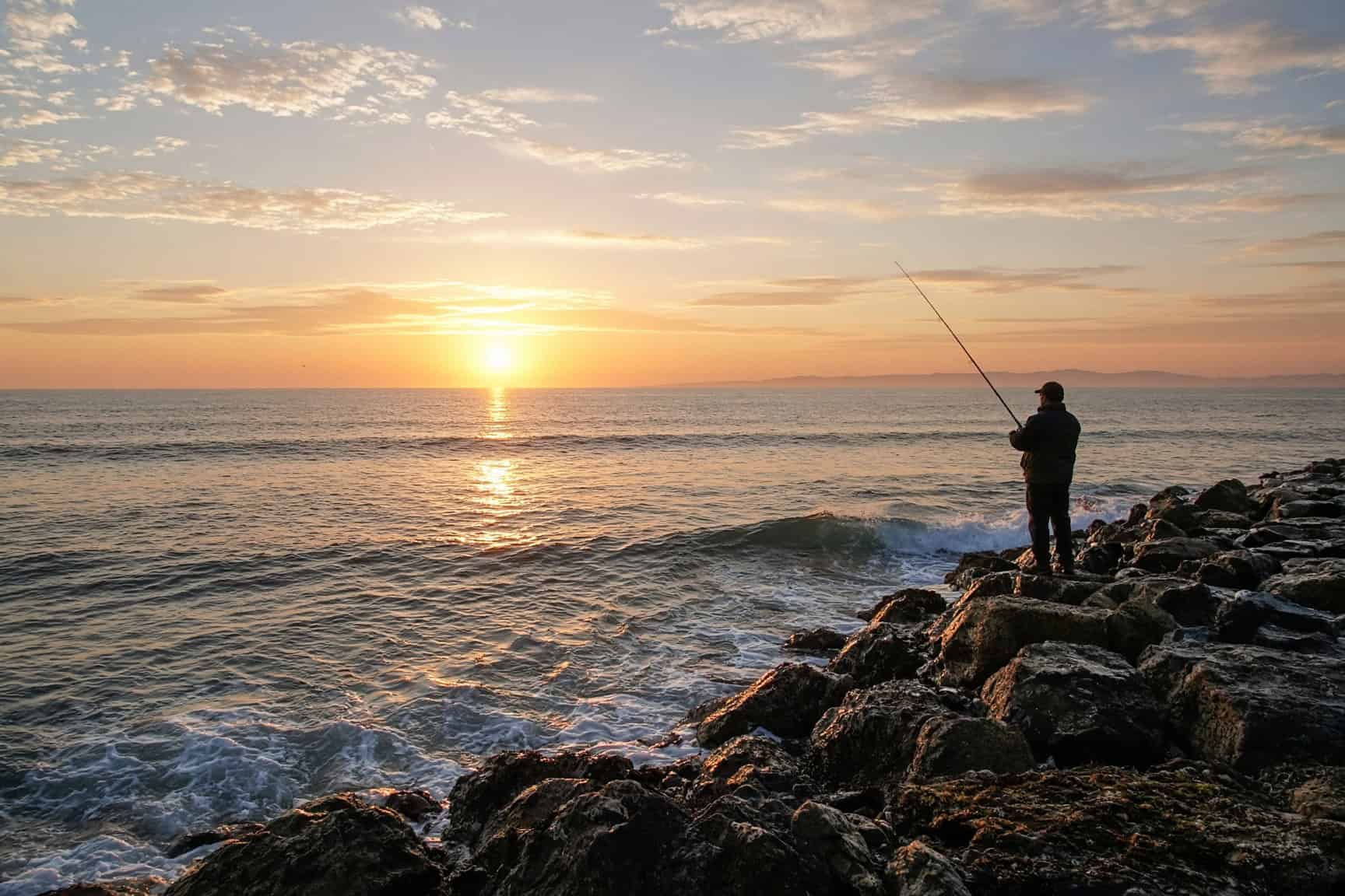 Shoreline along fishing water