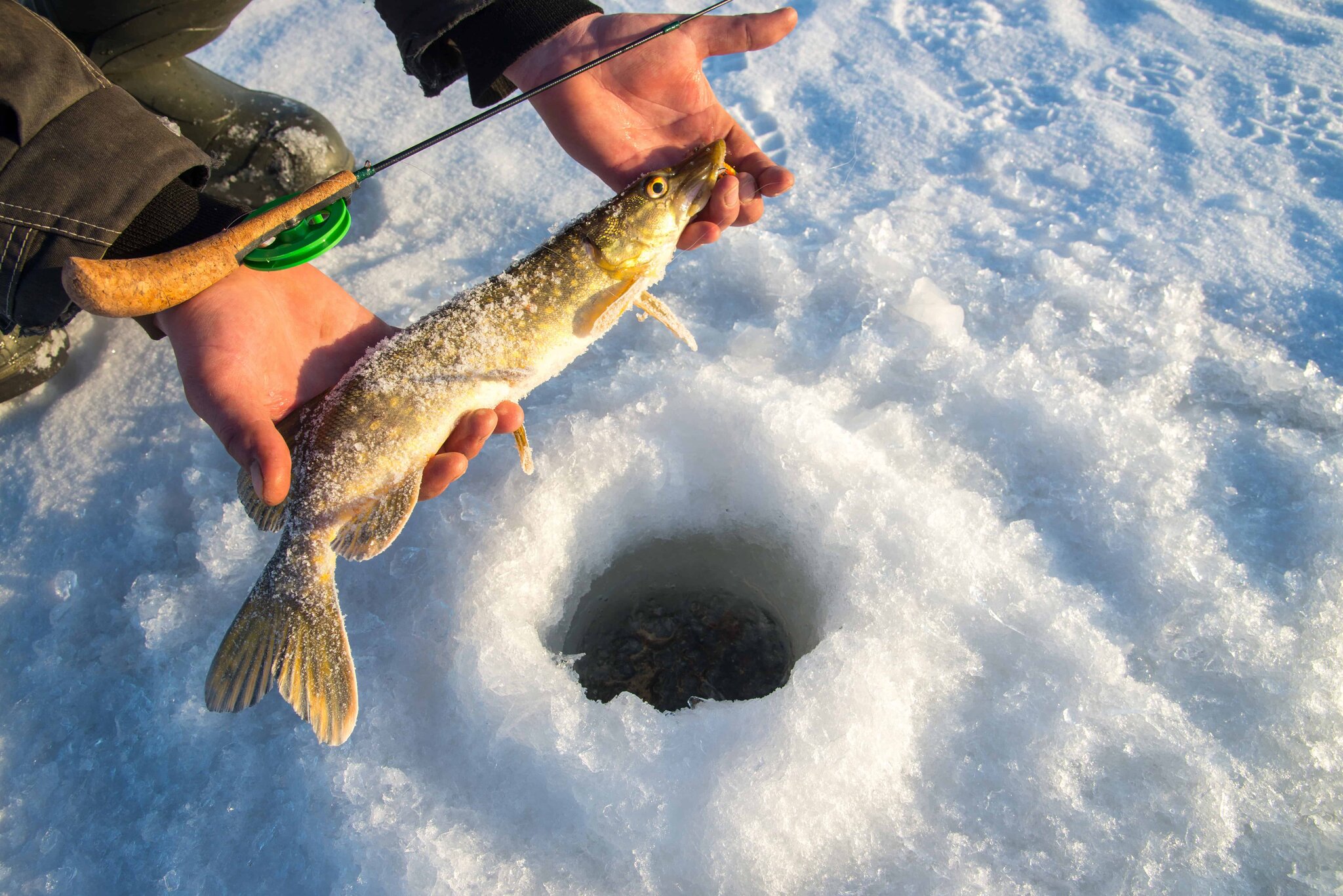 Ice Fishing: Where to Start