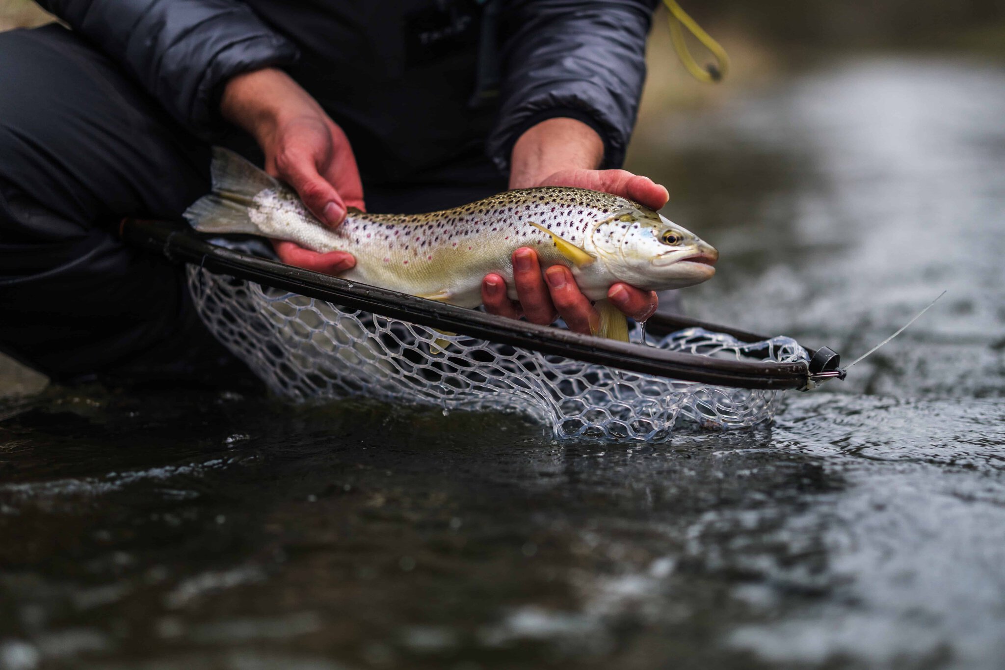 A Rise Doesn’t Automatically Mean Dry Fly