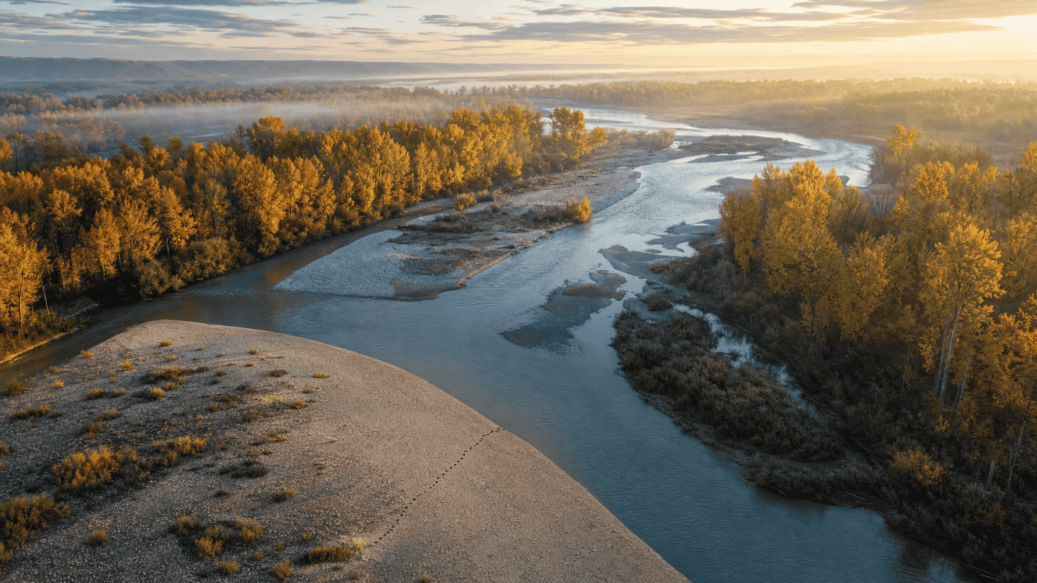 Aerial view of an unmarked braided wild river through cottonwood bottomland at sunrise, with a single set of wading tracks stopping at the water's edge