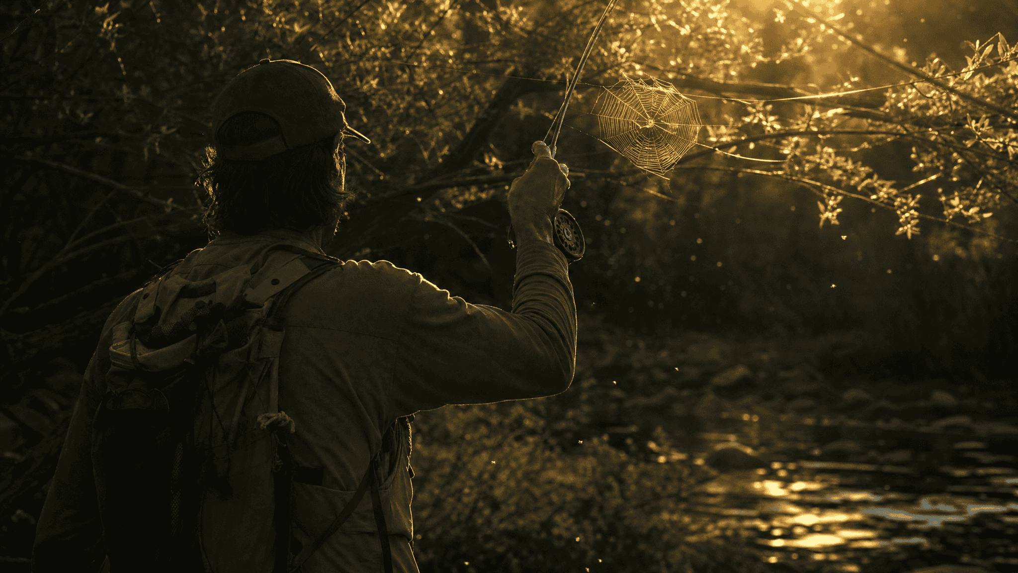 Over-the-shoulder view of an angler checking the backcast lane with brush and a spider web behind