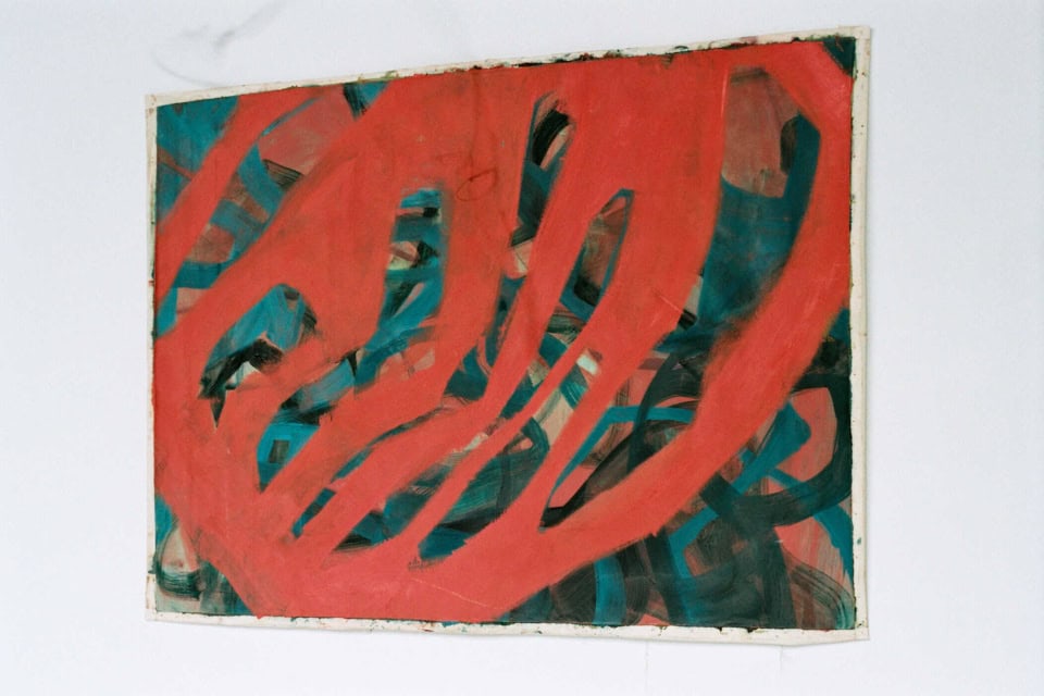 Livianas