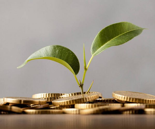 Démarche écologie et économie matériel réemploi
