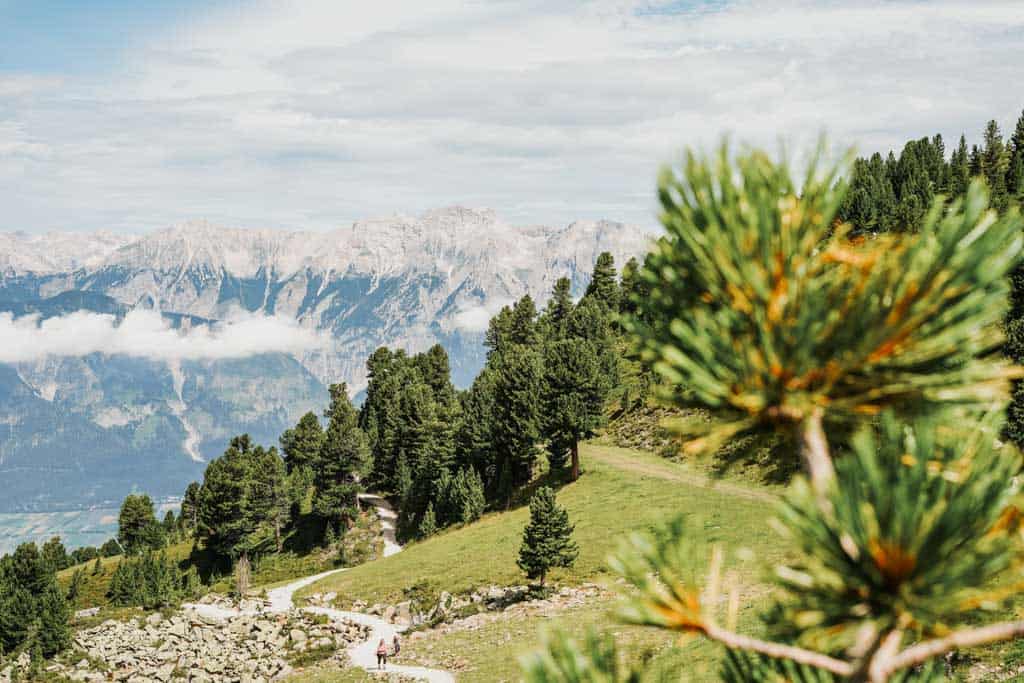 alpine naturkosmetik alpen tirol