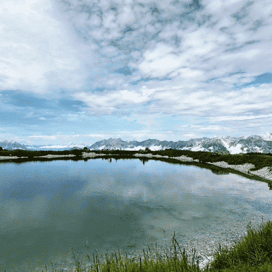 natur alpen naturkosmetik