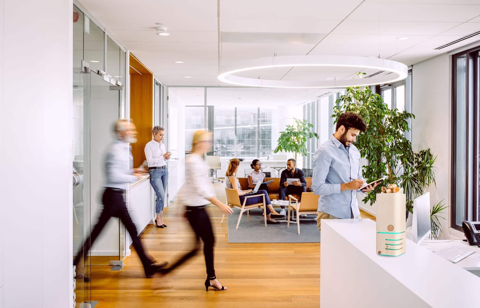 zirbenraumluefter buero istock sanjeri