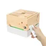 1077_ZirbenLuefter-Cube-II_led-gruen_1.jpg