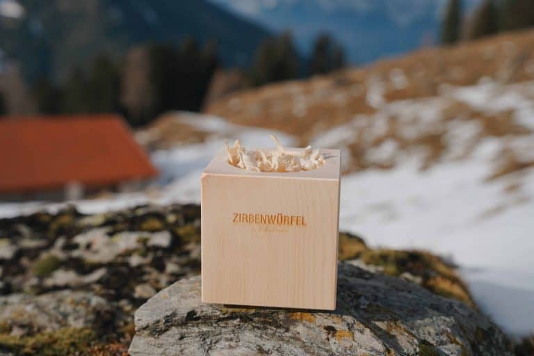 zirbenwürfel berg winter