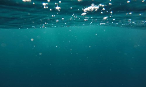 jeremy bishop braZySlEKA unsplash