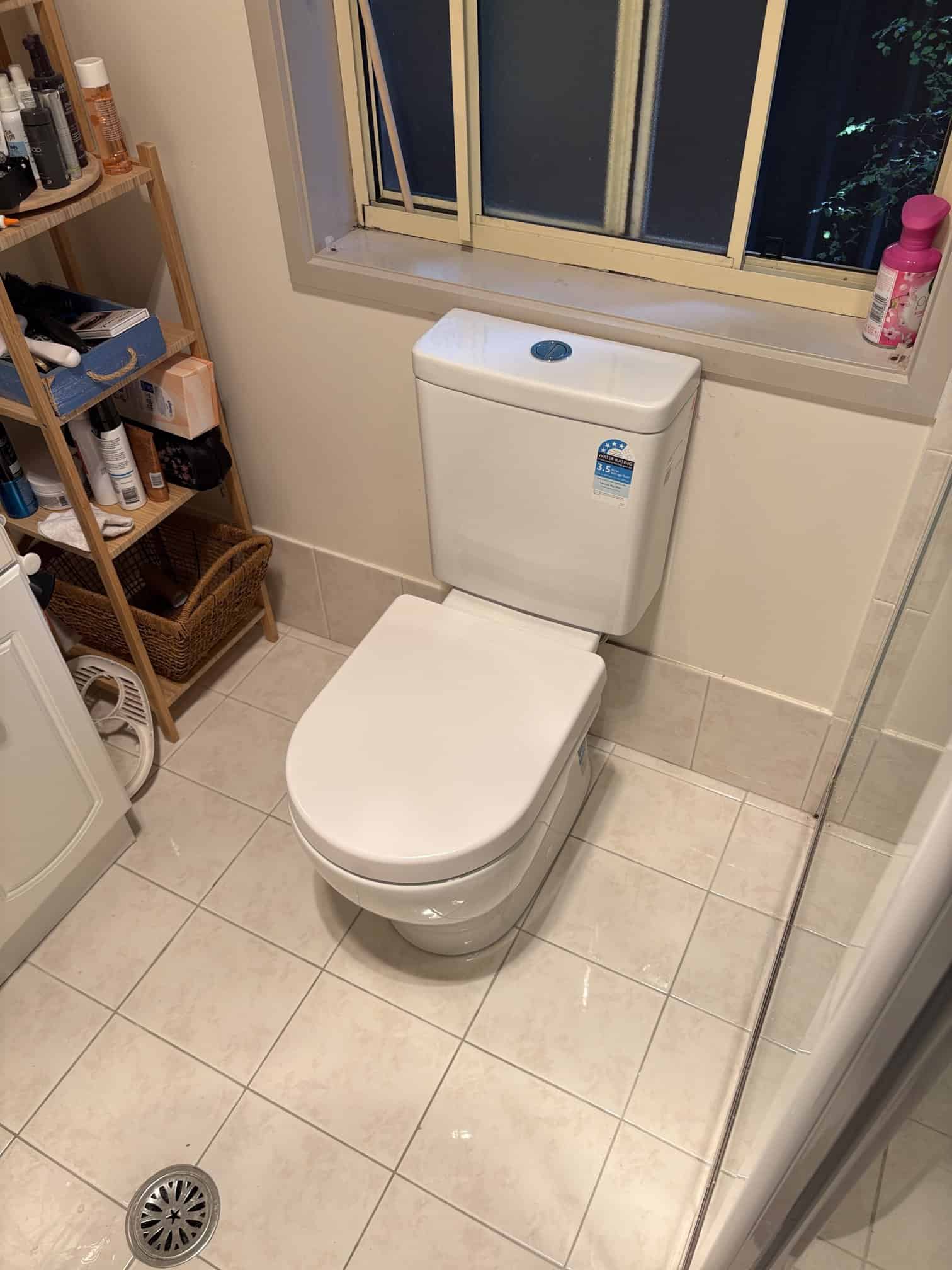Ensuite toilet replacement Nicholls ACT