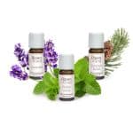 Ätherische Öle 3er Pack