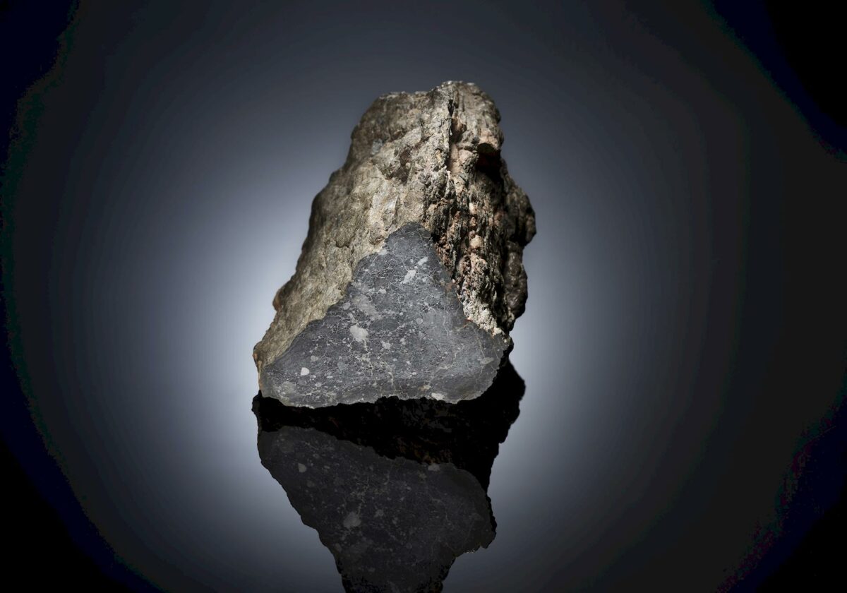 Omega Speedmaster Apollo 11 2019