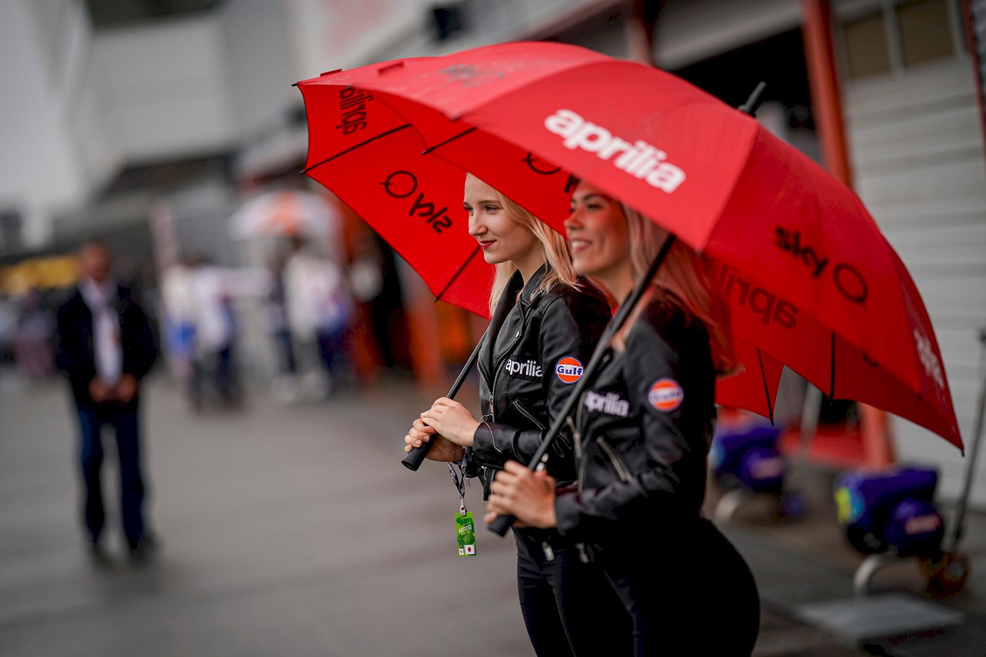 Paddock Girls Giappone 2019