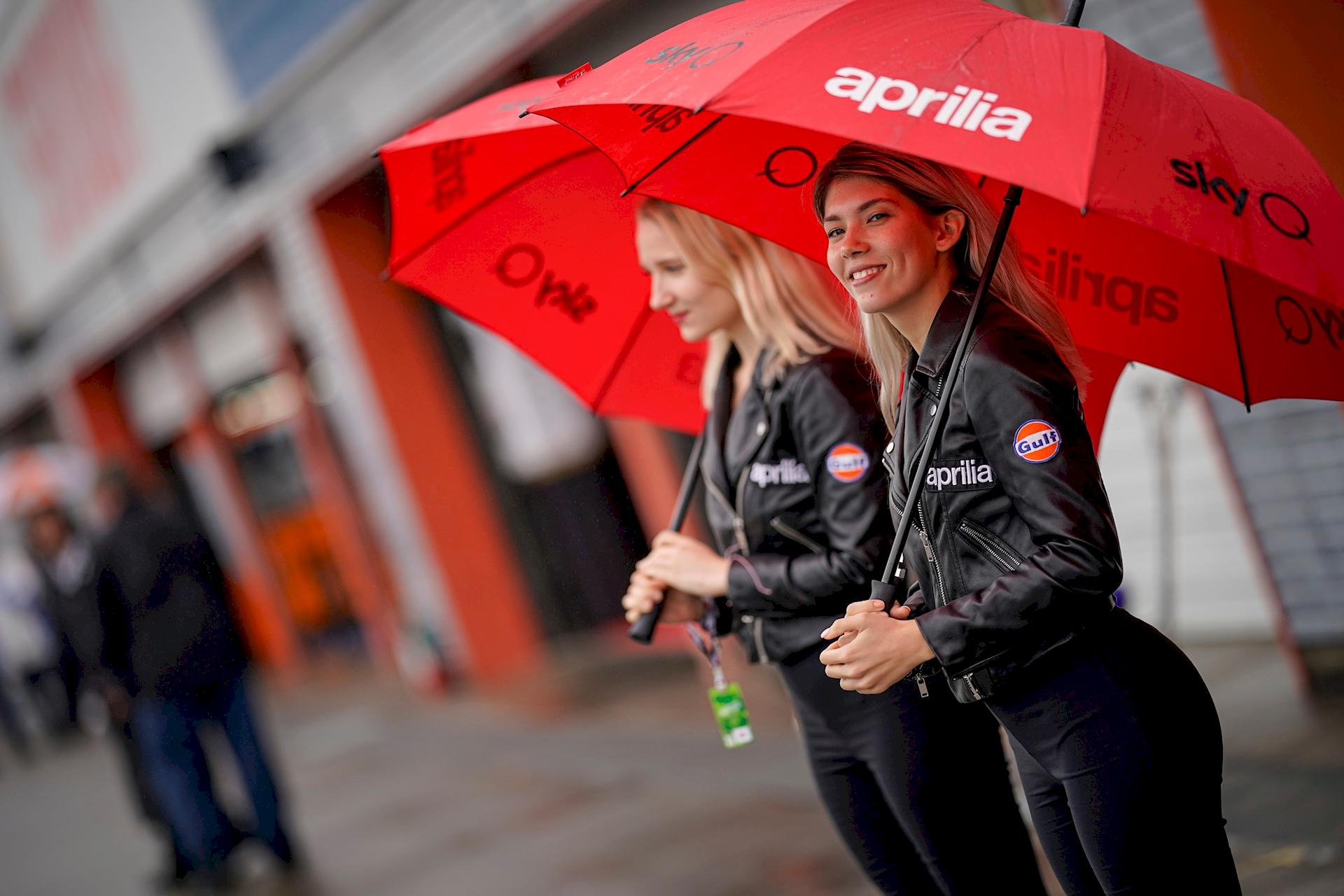 Paddock Girls Giappone 2019