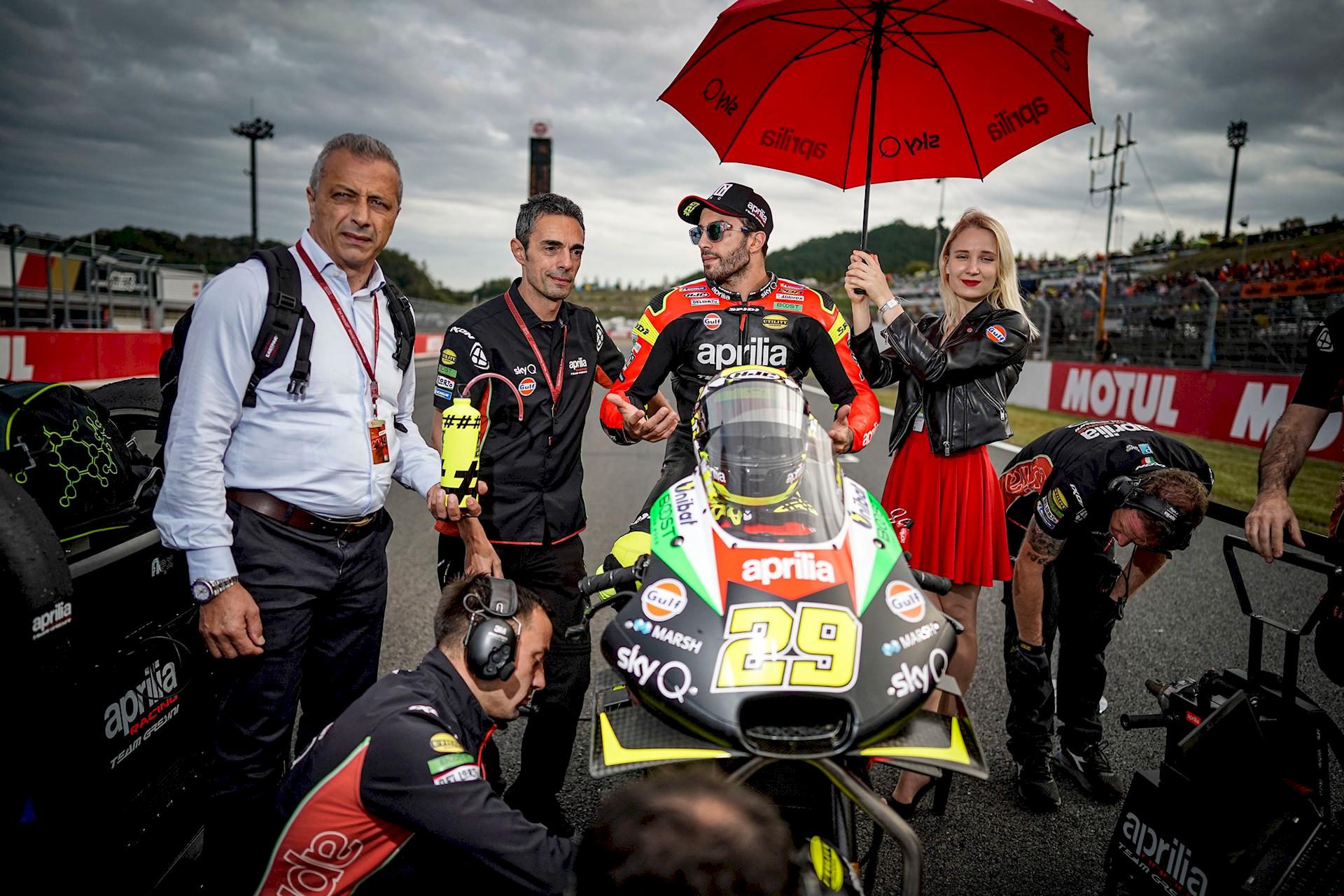 Paddock Girls Giappone 2019