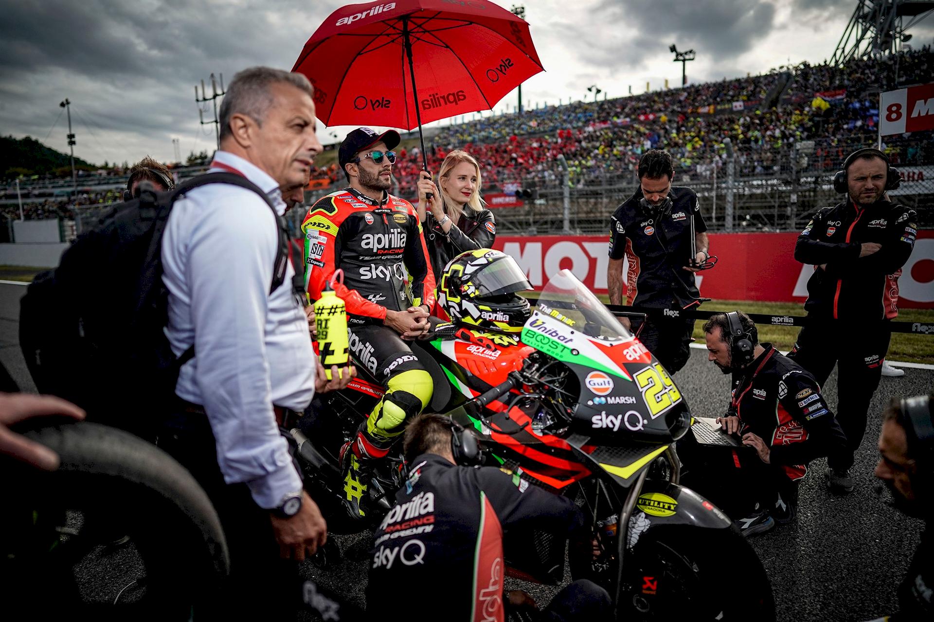 Paddock Girls Giappone 2019