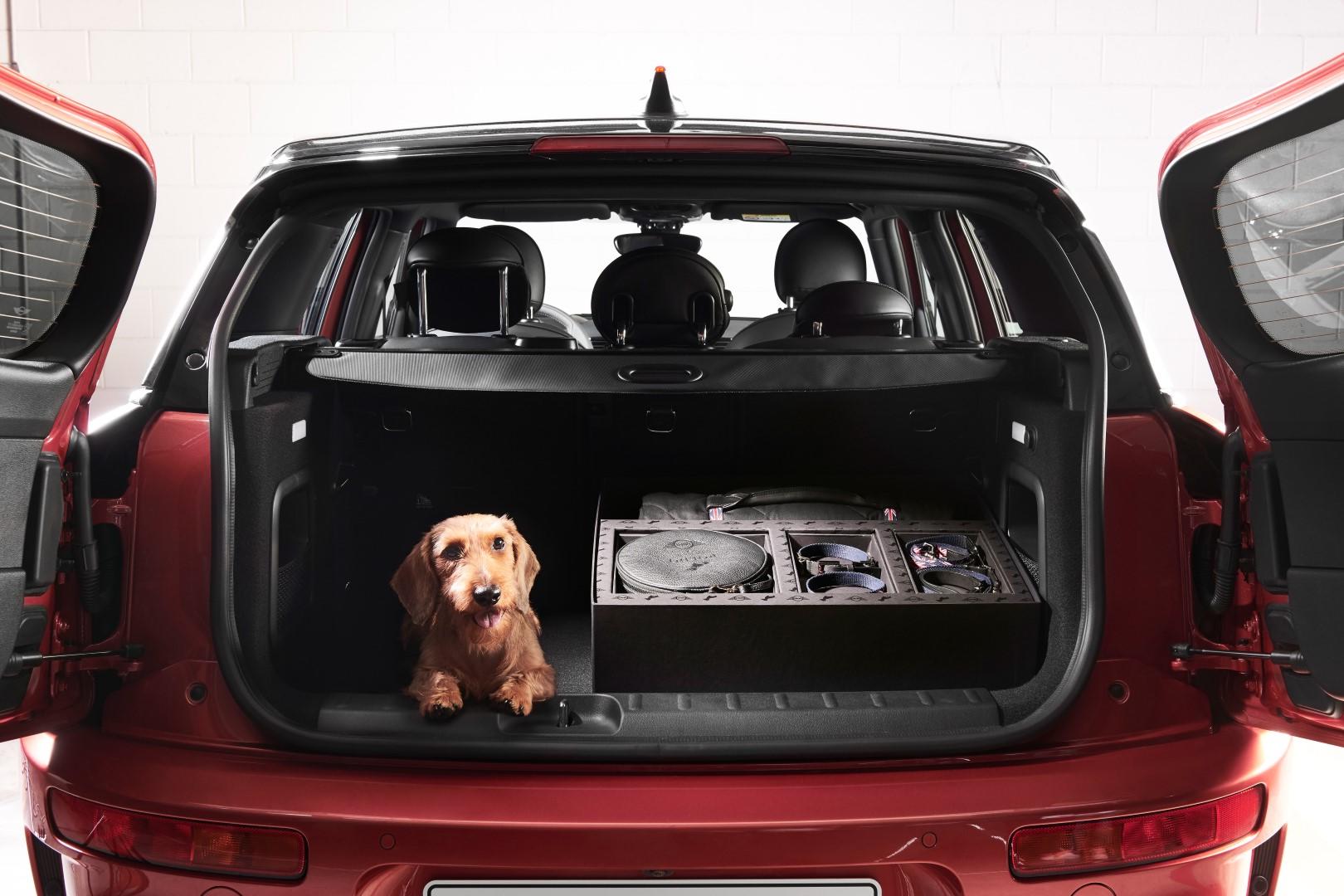 Kit da viaggio per cani