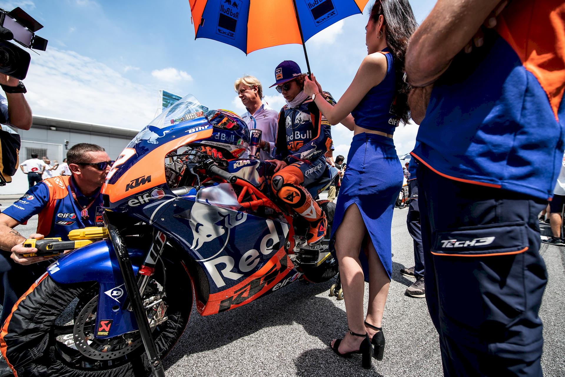 Paddock Girls Malesia 2019