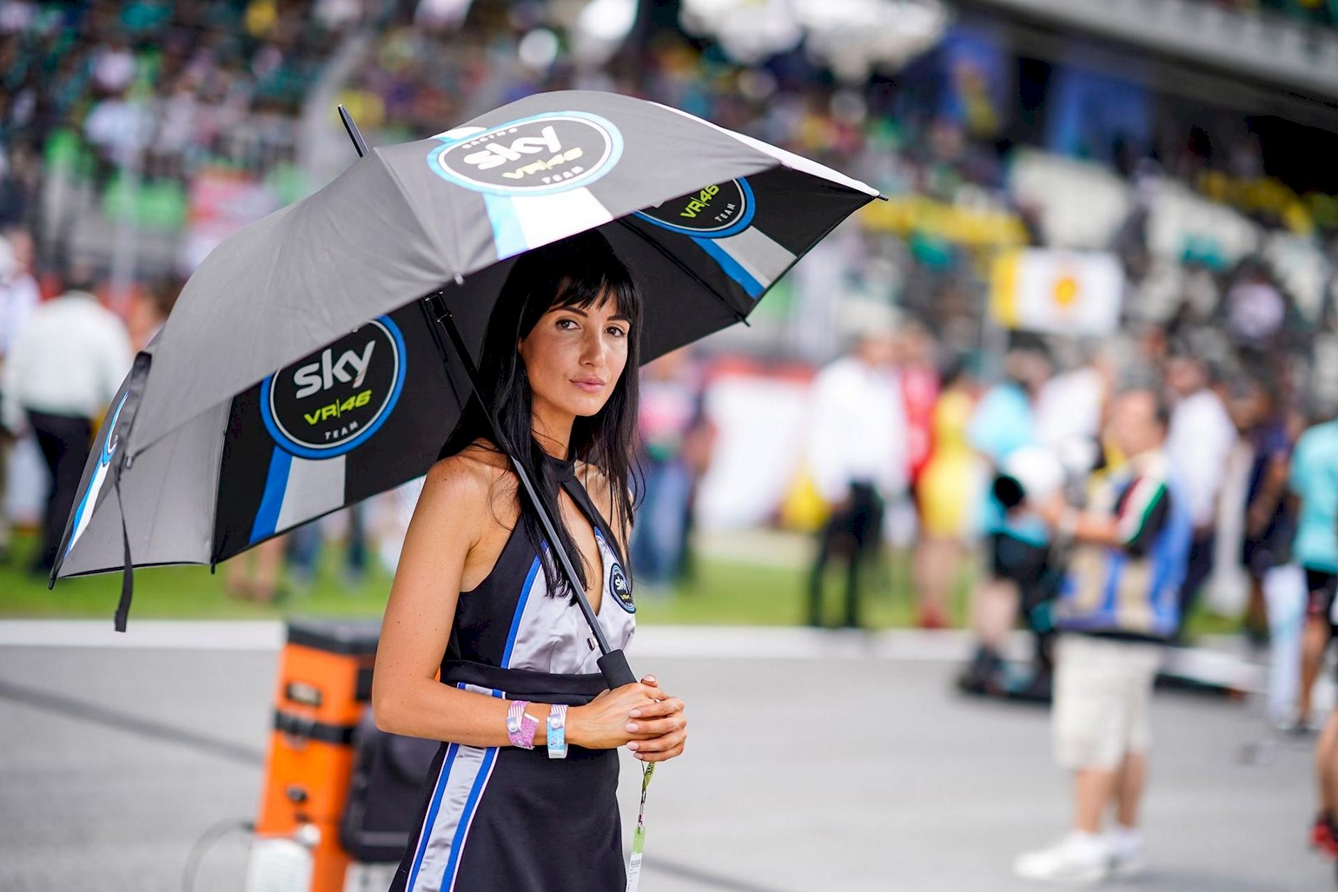 Paddock Girls Valencia 2019