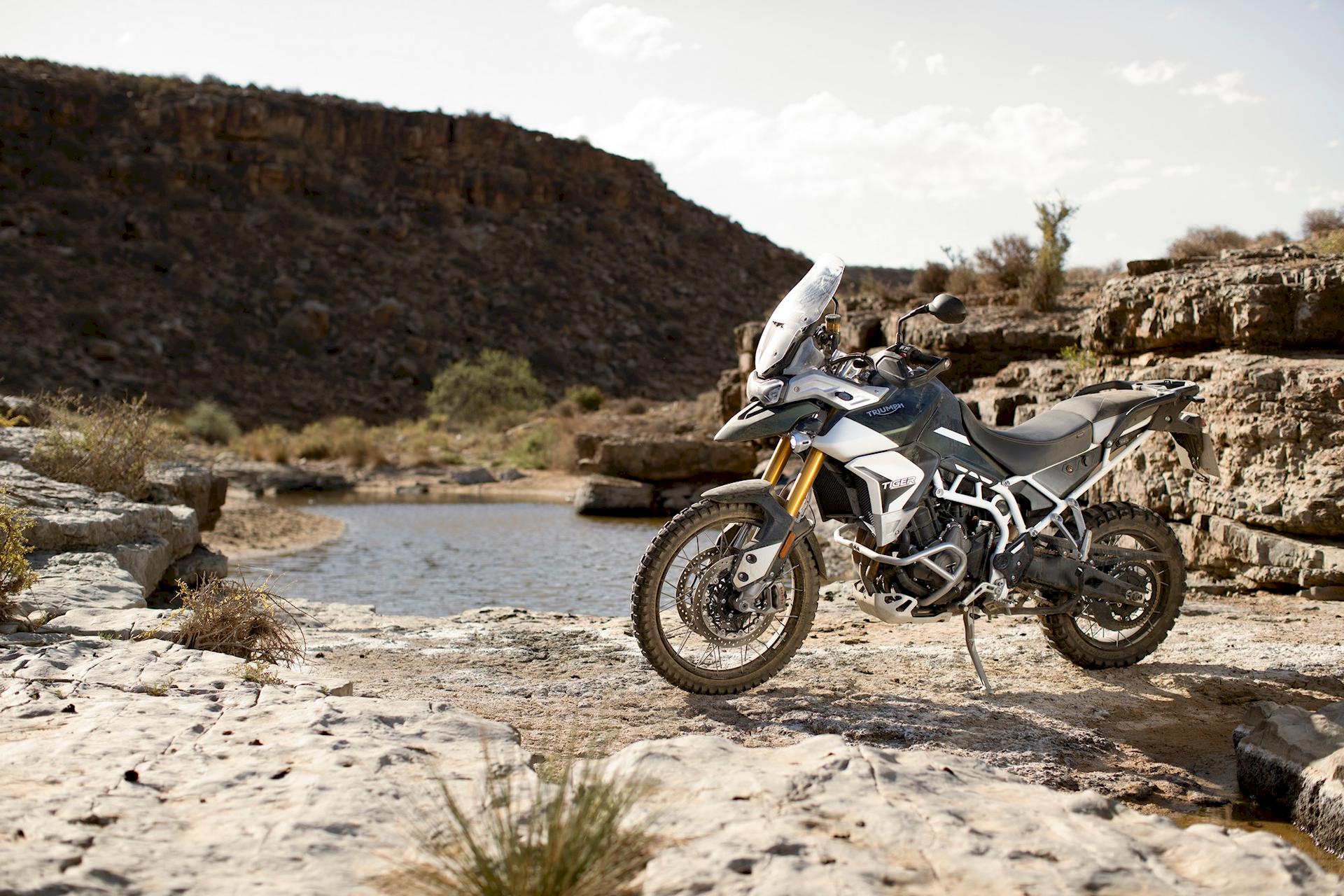 Triumph Tiger Rally Pro 2020