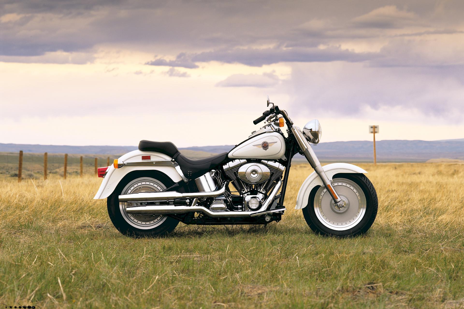 Harley-Davidson FLSTF FLSTFI Fat Boy 2000 Twin Cam 88B