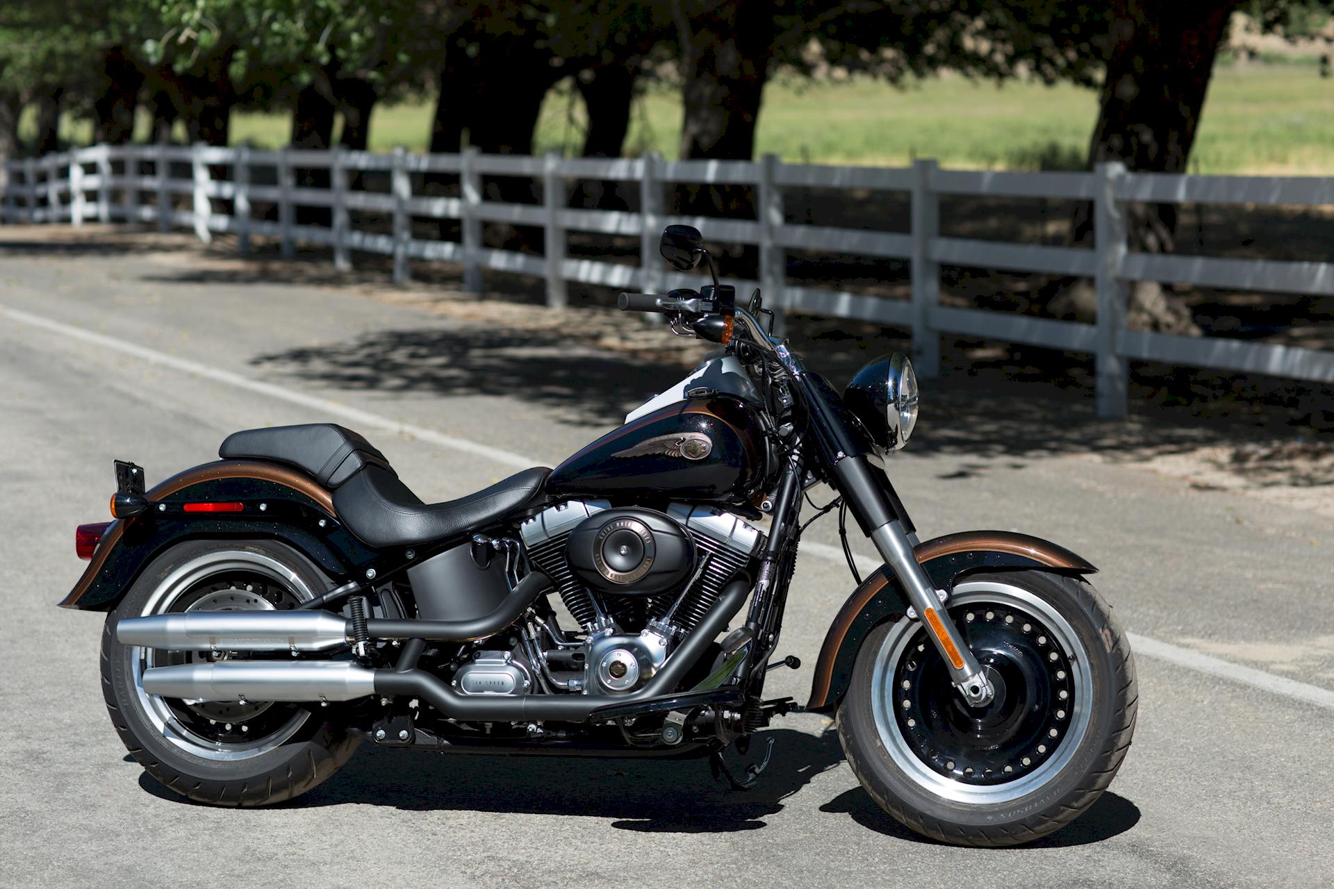 Harley-Davidson FLSTFB ANV Fat Boy Special 2013 110th Anniversary